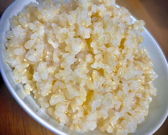 農薬不使用・無施肥米　福岡県産「元気つくし」令和7年産　玄米15kg