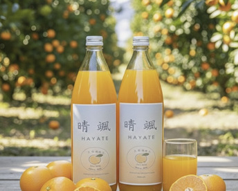 【数量限定】希少ブランドみかん100％ジュース　1L✕2本