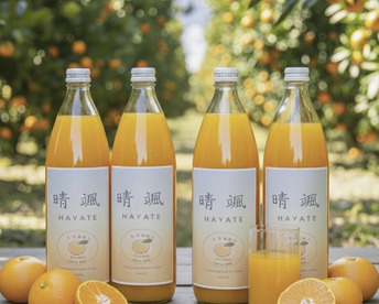 【数量限定】希少ブランドみかん100％ジュース　1L✕4本