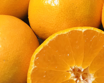 和歌山　天田みかん　3kg