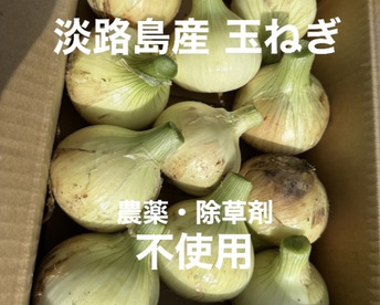 【訳あり】農薬、除草剤不使用！淡路島 玉ねぎ5kg 【生で食べてみて！】加熱だけじゃもったいない。サラダでも美味しい淡路島の完熟玉ねぎ。