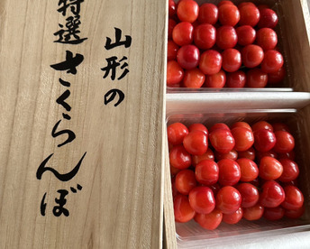 【 🍒早期予約🍒 】【 残8箱 】【 紅秀峰 】【 贈答用 】さくらんぼ 山形県産  1kg 【 木箱入り 】母の日ギフト 父の日ギフト 御中元