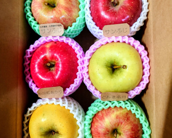 【最小容量】☆農薬不使用りんご☆と特別栽培りんご(品種おまかせ)詰め合わせ2キロ（6〜9玉）【食べ比べ】