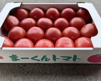 リピート率驚異の【45%!】 まずは試してみりん！
美味さの秘訣は【土耕栽培】にあり！　まーくんトマト　〈残留農薬未検出〉八百結び農法　大玉トマト　２キロ