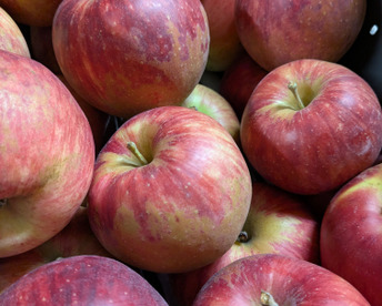 信州りんごプライスダウン🍎4キロ(ふじ小玉極小玉)