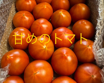 少し甘いトマト🍅80サイズ箱詰め