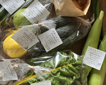 【平飼い卵野菜セット】農薬不使用キラピカ旬野菜BOX７〜8品、平飼い卵セット・朝穫れ農の島＊大三島＊よりお届け！