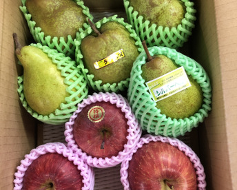 🍐洋梨ラフランス🍎ふじりんご 詰め合わせ 2kg箱まんぱい詰め (2〜4種) ギフト 【冬ギフト】