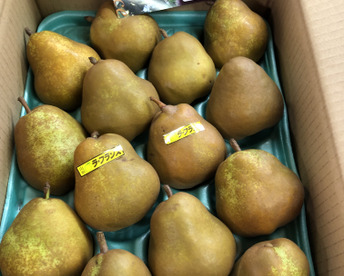 ご自宅用にいかが？★小玉ラフランス★14玉入り　ご家庭用　【3キロ】