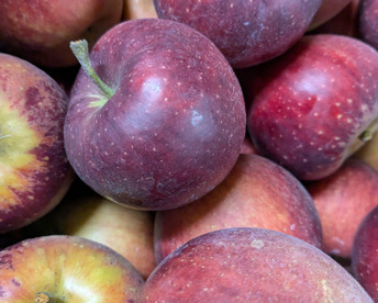 信州りんご🍎4キロ(小玉極小玉)