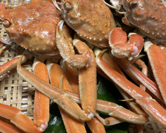 10月解禁！！【訳あり】新潟県産本ズワイガニ(オス)たっぷり２kg 村上市笹川流れ