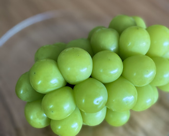 クール便🟢家庭用🟢ちょっぴり訳あり★朝どれ種なしシャインマスカット★【先行予約！2026年 ★８月下旬〜順次発送】約３kg大きさお任せ(4〜８房)★生産量日本一の山梨県産★冷蔵配送📦