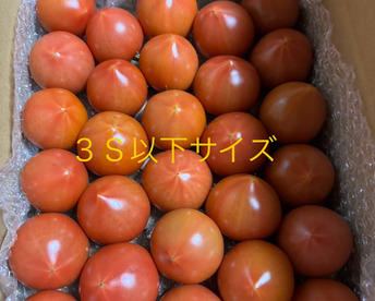 昔ながらのトマト🍅80サイズ箱詰め(3S以下玉)