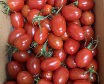 『訳ありA品・アイコ♪』1kg箱:ヘタあり・ヘタ無しランダム♪ちょうどいい酸味と甘味あり満足