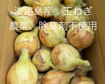 【小玉】農薬、除草剤不使用！淡路島玉ねぎ6kg 【生で食べてみて！】加熱だけじゃもったいない。サラダで美味しい淡路島の完熟玉ねぎ。