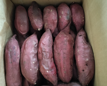 【冷凍焼き芋】紅はるか　2kg＋α×2