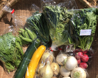 旬の野菜セット（7～9品種）