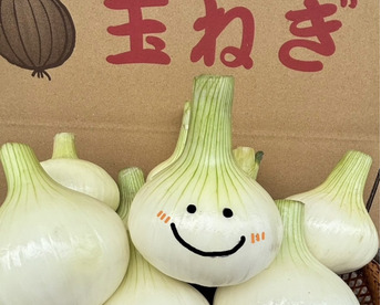 採れたて！！淡路島産「極早生玉ねぎ」約5kg