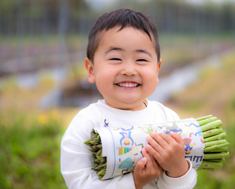 訳あり！！【2kg！甘さ抜群！】すぃーとアスパラ（規格外品）