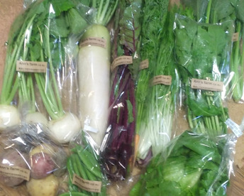 旬の野菜セット(8~10品)