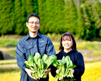おまかせ。魂のほうれん草 7袋（1kg）