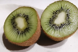 農薬不使用！緑キウイ「ヘイワード」2kg