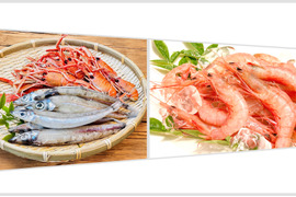 【春の生活応援！】特別価格！お手頃・簡単に食べれる深海セット