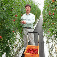 南アルプス丸吉菜園