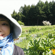 とりやべふぁーむ