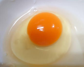 (常温便)出荷日当日の朝採り新鮮お届け致します☆　平飼い濃厚卵　純国産赤鶏あずさ30個＋割れ保証付