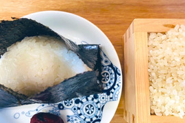 【令和7年度産】農家直通の自然栽培米！熊本県産ヒノヒカリ(農薬化学肥料除草剤不使用)玄米30k