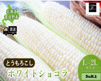 ★★糖度17度以上!!フルーツのようなとうもろこし!【ホワイトショコラ(白)】3㎏詰め7~9本入り L~3L 特大です★★