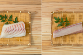 【冬ギフト】百年漁師の真鯛と鰤食べ比べセット（ラッピング、熨斗対応可）