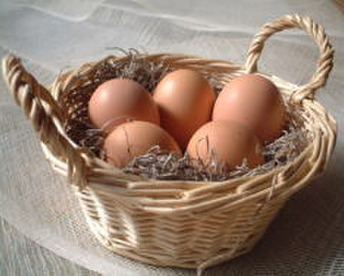 美野里たまご 卵 玉子 たまご 玉子 10個入り 3パック 卵