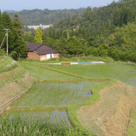 農事組合法人みくす