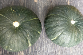 ★北海道産★化学農薬不使用かぼちゃ、くり将軍1個＋ほろほろ1個、合計2個