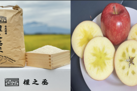 待望のセット商品！　權之丞米（白米）5kgとサンふじ（家庭用）2kg（5〜10個入り）