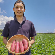 てらすファーム