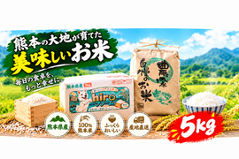 新米 白米 5kg 無洗米　キヌヒカリ 食べチョクアワード受賞　令和8年産 熊本県産 hiroファーム