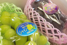 【数量限定】ピオーネ&シャインマスカット 約1.2kg 【岡山県産】種なしぶどう