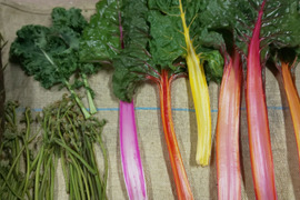 野菜&山菜セット