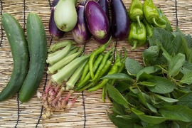 【野菜たちのセット2倍量】不耕起草生　耕さない草とともに台地の畑で２5年の野菜(種とり、農薬肥料不使用）