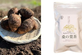 【和の心】熊本県産　農薬不使用　里芋｜桑の葉茶　セット