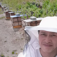 滝桜湖養蜂 滝桜湖つみとりブルーベリー園