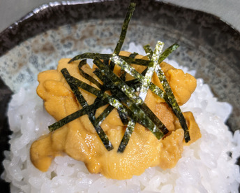 【謹賀新年】たっぷり3パック★冬限定/高級うに★甘みと旨味の宝庫「天草特産白ウニ（100ｇ）✕３」熊本天草直送品【年始のご挨拶用にも人気】