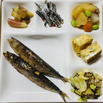 𓆸 全国の生産量90 を誇る高知県産 𓍯茎みょうが𓍯 500g 高知県産 食べチョク 農家 漁師の産直ネット通販 旬の食材を生産者直送