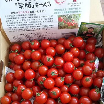 食べ過ぎ注意 大人のおやつに 無限ミニミニトマト 1 5kg 農カード付 愛知県産 食べチョク 農家 漁師の産直ネット通販 旬の食材を生産者直送
