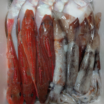 隆栄丸へのご馳走様でした 食べチョク