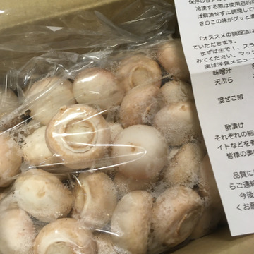 2kg 生で食べられる新鮮マッシュルーム 千葉県産 食べチョク 農家 漁師の産直ネット通販 旬の食材を生産者直送 2kg 生で食べられる新鮮マッシュルーム 千葉県産 食べチョク 農家 漁師の産直ネット通販 旬の食材を生産者直送
