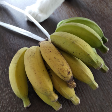 食べチョク